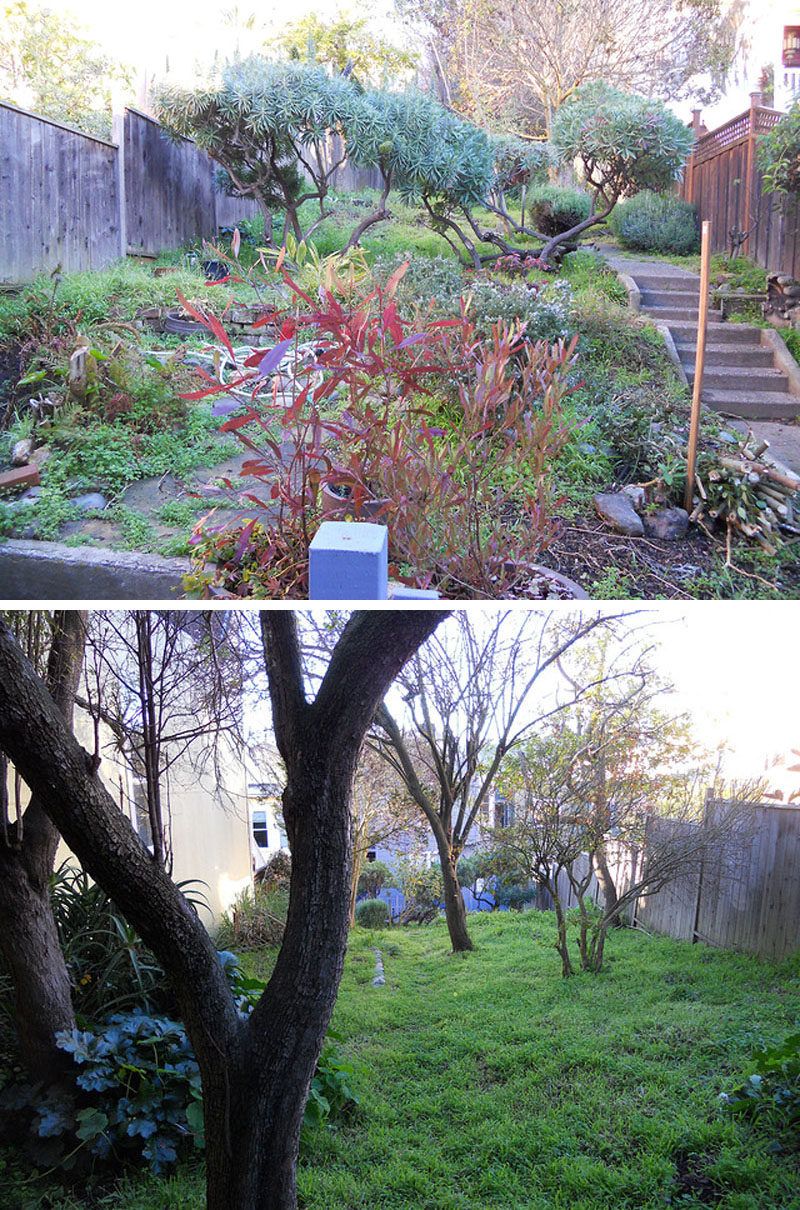 قبل و بعداز بازسازی باغ01