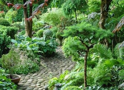 طراحی باغ و مسیرهای زیبا در آن