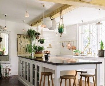 راه خلاقانه برای استفاده از فضای سبز در آشپزخانه